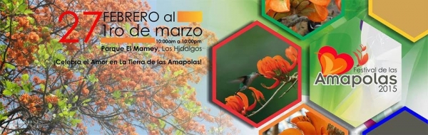 Celebrarán festival de Las Amapolas: