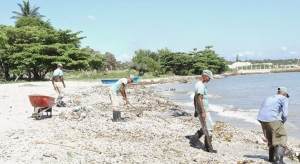 Limpiando la playa en Barahona: 