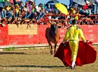 Corridas de Toros en El Seibo del 1 al 10 de Mayo durante sus fiestas Patronales