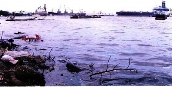 Contaminación en el río Higuamo