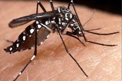 Contiúan casos de dengue en Dajabón