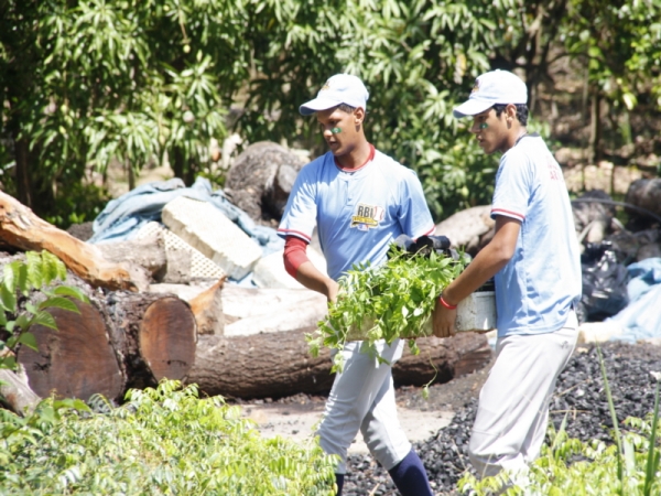 Béisbol RBI y Medio Ambiente reforestan en Santo Domingo Este