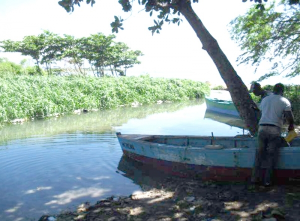Reforestarán río Birán durante regata &quot;Palito Seco 2013&quot;