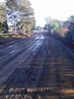 Denuncian mal estado de caminos vecinales en Mata Palacio:  
