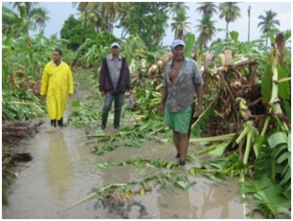 Comité Prevención, Mitigación y Repuesta presenta informe de Jaquimeyes post tormenta Sandy