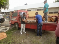 Medio Ambiente incauta camión que transportaba madera ilegal