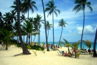 Playa Dominicana 