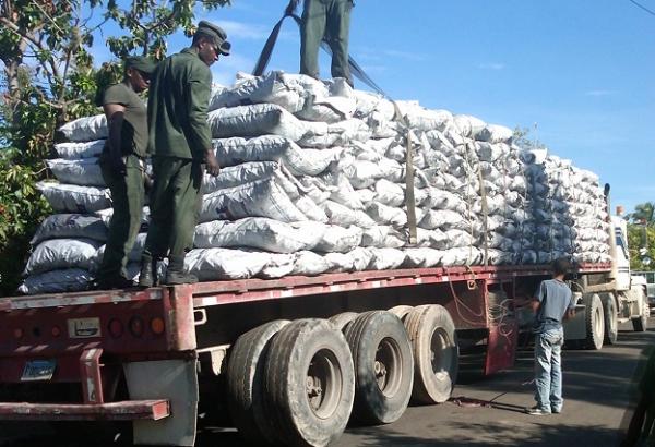 Medio Ambiente se incauta mil 500 sacos de carbón en el suroeste