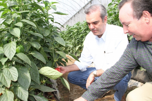 Luis Abinader se compromete establecer vía de financiamiento producción de invernaderos: 