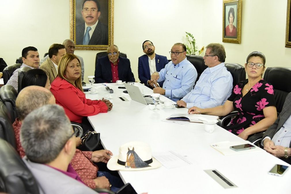 En la reunión, además estuvieron presentes los diputados Máximo Castro Silverio, Tobías Crespo, José Horacio, Saury Mota, Rogelio Genao, entre otros legisladores.