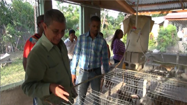 El Feda distribuye modernas granjas para criar conejos: 