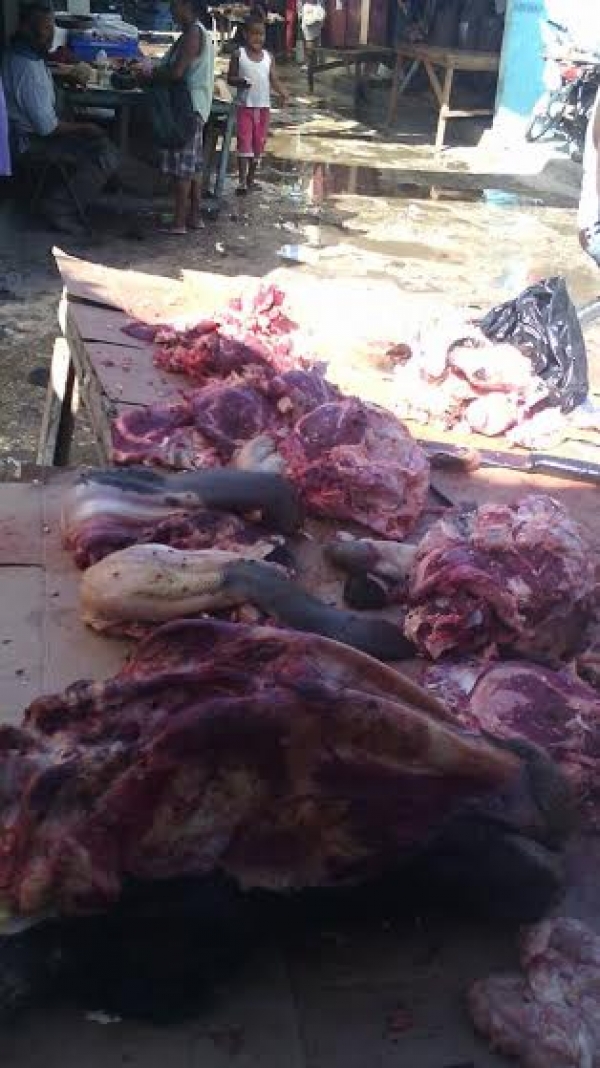 Aspirante a síndico afirma mercado y matadero son foco de contaminación en Barahona 