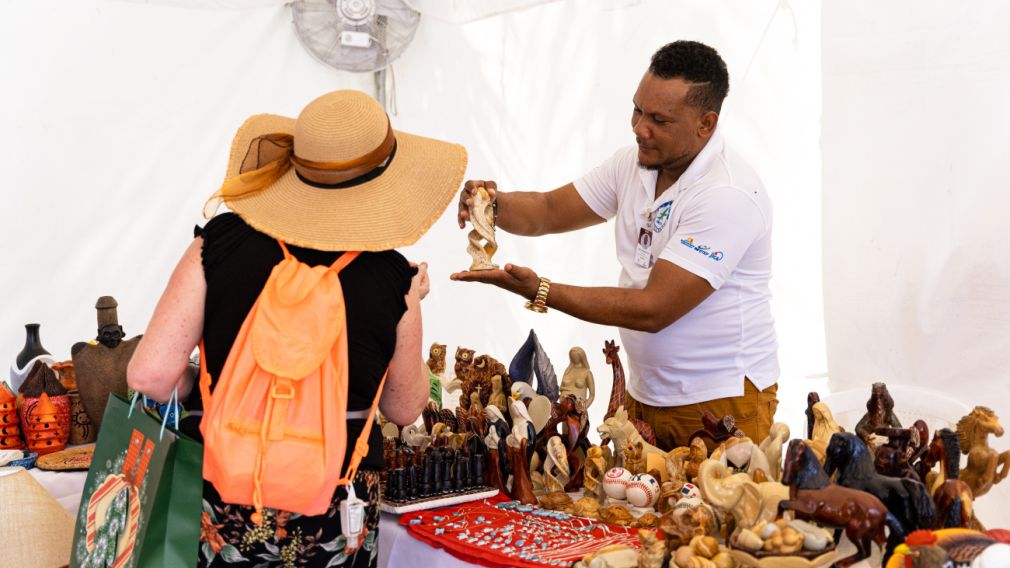 El Primer Congreso RD Naranja nace dirigido a los creativos dominicanos que buscan sacar mejor provecho a su trabajo, así como del público en general interesado en conocer, conectar y entender mejor las industrias creativas.