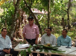 Productores de cacao afirman La Buba ataca plantaciones en el Este: 