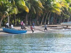 En el país, la pesca indiscriminada es frecuentes por la falta de control institucional, se espera que, con éste manual educativo, las organizaciones de pescas de República Dominicana, hagan conciencia de que para la subsistencia no es posible la pesca discriminatoria.