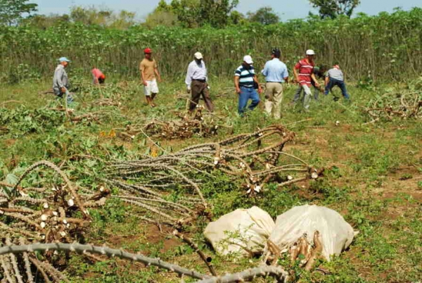IIBI desaloja a invasores de sus terrenos en  CEBIVE