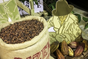 Festival de Cacao un aliciente para los sentidos