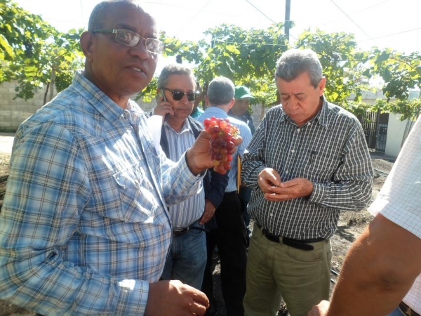 Inuva y Ministerio de Agricultura realiza levantamiento en zonas de cultivo de uva: 