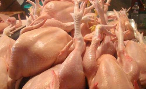 Proconsumidor no ve razones para subir precio del pollo 