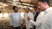 Presidente Danilo Medina inaugura planta de pollo en ambiente controlado: 