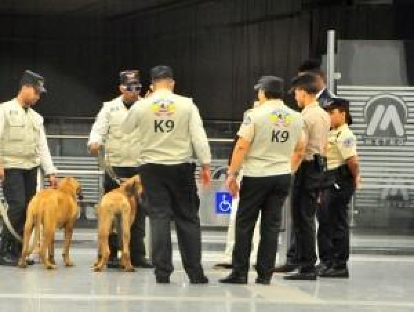 Cuerpo Especializado para la Seguridad del Metro cuenta unidad canina K9: 