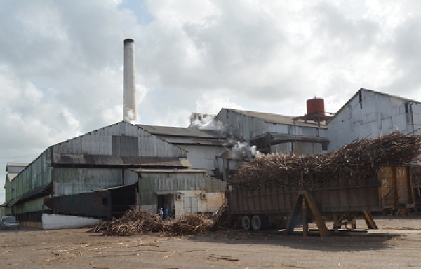 Ingenio Porvenir con zafra récord de 18 mil 550 toneladas de azúcar