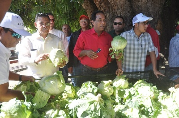 Inespre abastece de alimentos a familias pobres de San Juan