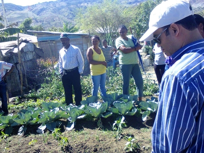 Familias consumen legumbres huerto sembrado por ellos y la comunidad
