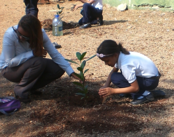  El Jardín Botánico celebra día de la foresta