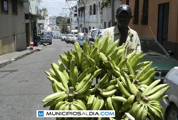 Vendedor de platanos de seis millones de plátanos que en promedio diario consume la población en República Dominicana.