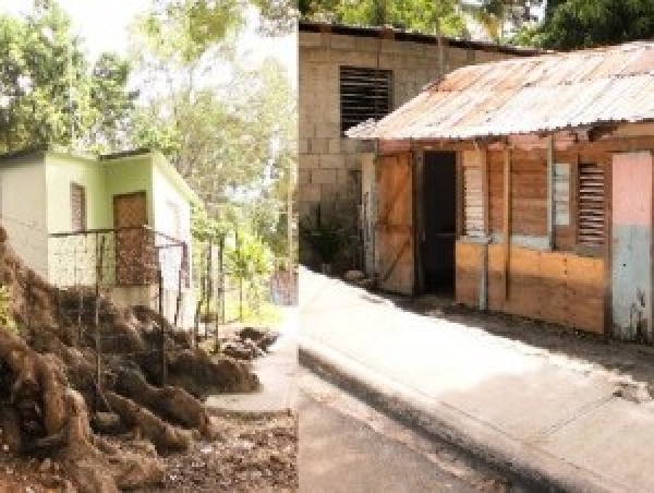 Familias que viven debajo de árbol piden ayuda