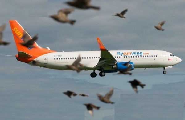 Avión debió aterrizar de emergencia en Punta Cana