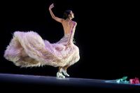 El flamenco adquirió otro perfil en la Gala de las Estrellas de la Danza Mundial, con Patricia Donn. Foto de la produccion Gala de Estrellas de la Danza Mundial. Foto de José Rafael Sosa.