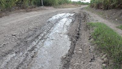 Mocanos reclaman reparación de camino vecinal