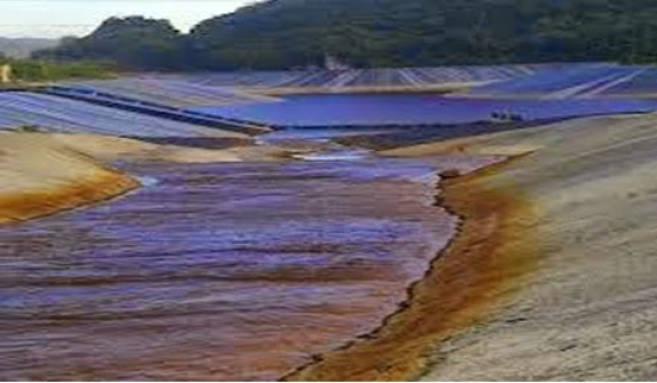 Ambientalistas denuncia grave situación de la presa de Hatillo  