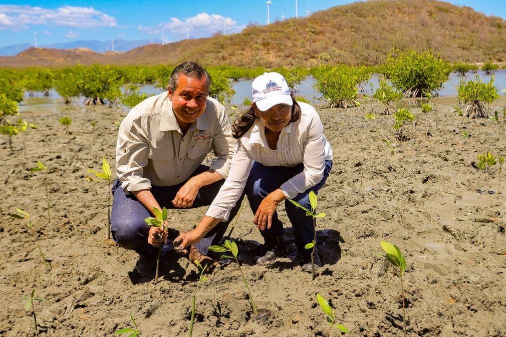 El ministro de Medio Ambiente y Recursos Naturales Orlando Jorge Mera, lideró una siembra de 1000 mangles rojos en una segunda jornada que el Ministerio realiza en la Base Naval Las Calderas de la Armada, para un total de 5,000 mangles plantados. 