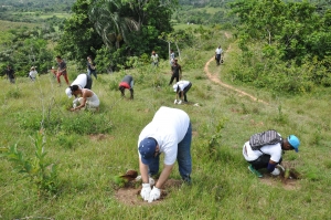 Empresa de electricidad realizan jornada de reforestación en La Guasuma