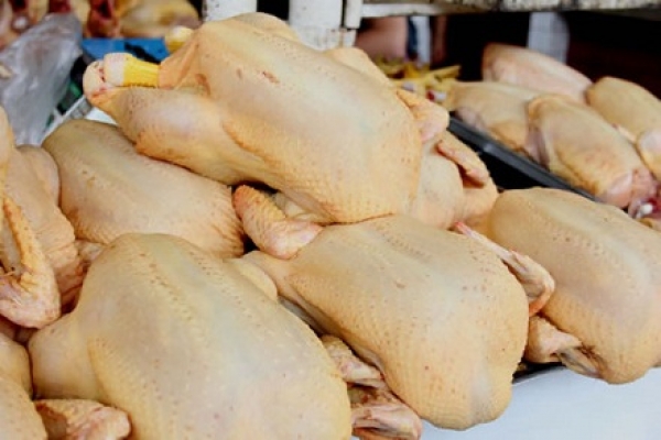 FUNDECOM considera precio del pollo no debe pasar de 43 pesos la libra