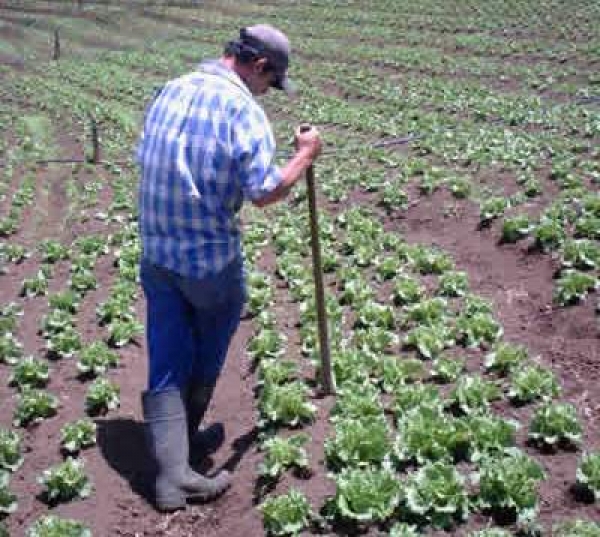 Agricultores denunciaron inconvenientes para obtener créditos