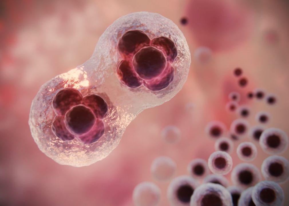 Estudio revela efectividad del uso de células madre en quimioterapia.