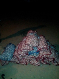 Servicio de Intelegencia ocupa 17 sacos de ajo procedentes de Haití: