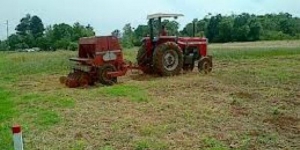Agricultura prepara terrenos para siembra de sorgo