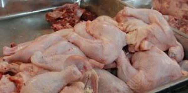 Desabastecimiento de pollo provoca aumento de 40% Dajabón