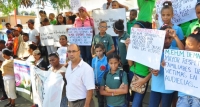 Grupos feministas e instituciones marchan contra violencia de género: 