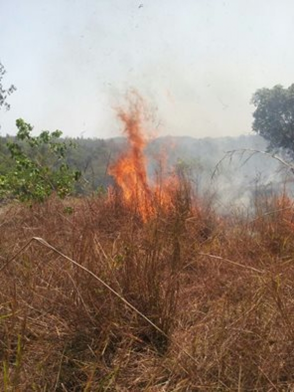 Nuevo incendio afecta distrito municipal Santiago de la Cruz de Dajabón