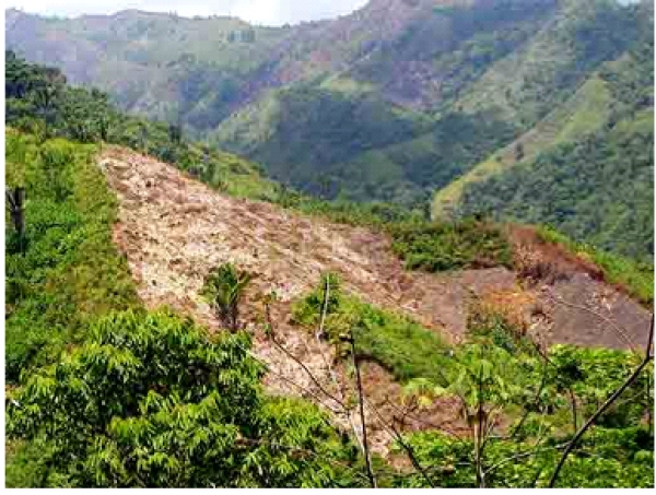 Apresan 10 haitianos quemando tumba cuenca de río Cito‏: 