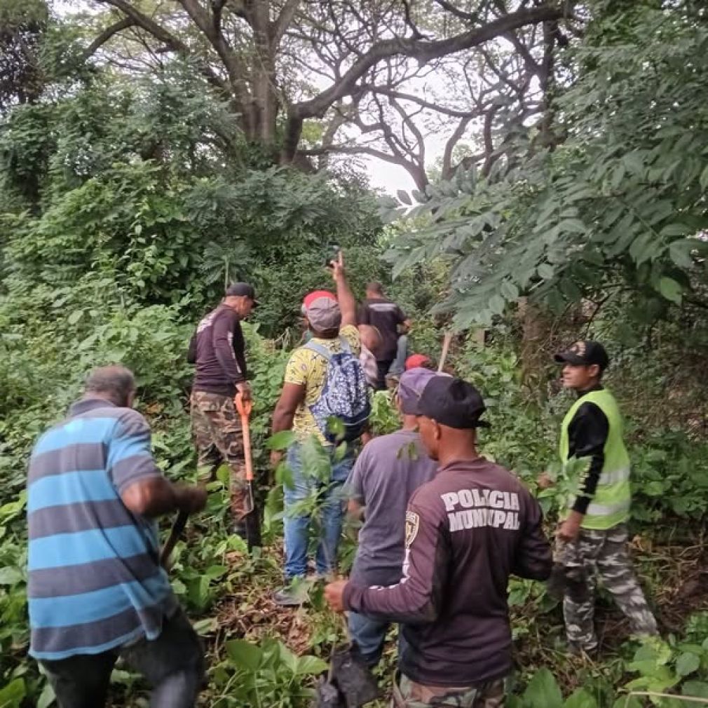 Alcaldía ejecuta plan de arborización y reforestación en Tamboril.