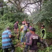 Alcaldía ejecuta plan de arborización y reforestación en Tamboril.