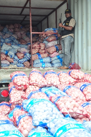Decomisan 13 toneladas de Ajo en Vicente Noble: 