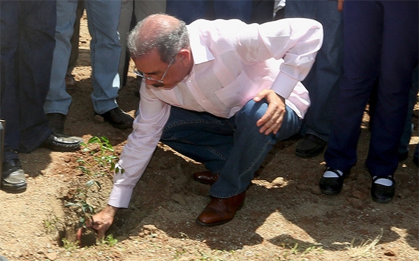 Medina siembra caoba en Haití